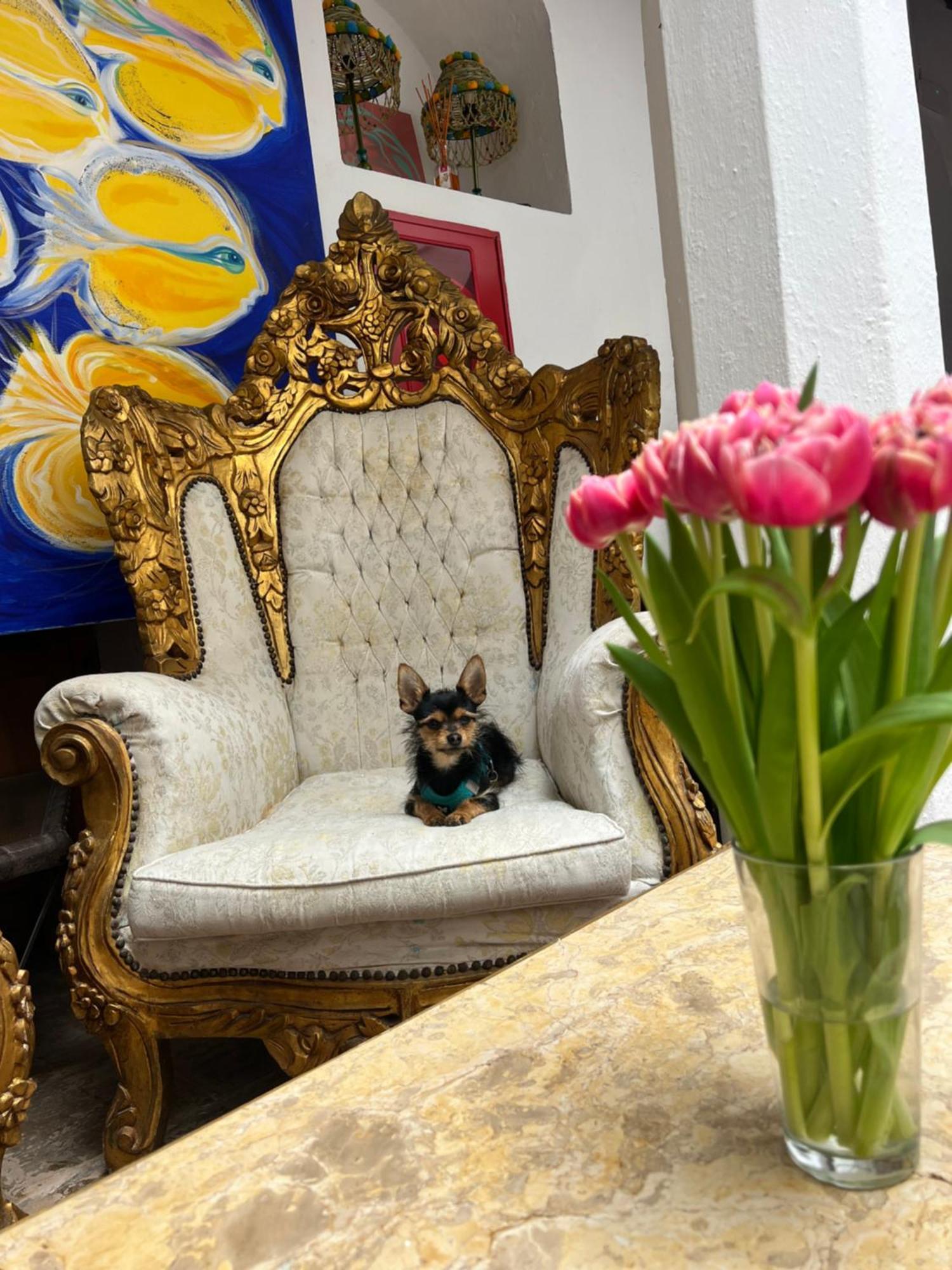 El Beaterio Apartments タリファ エクステリア 写真
